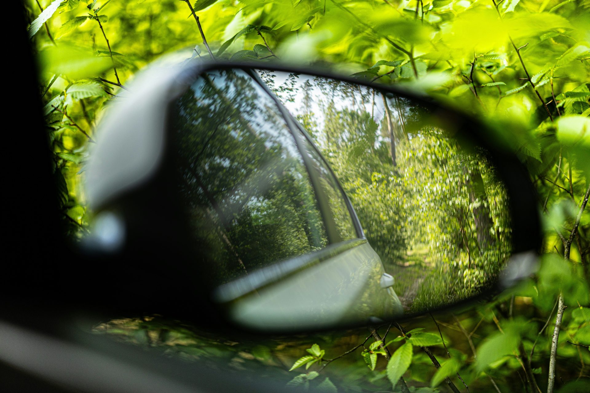 Seitenspiegel eines Autos, der einen grünen Wald und Bäume widerspiegelt
