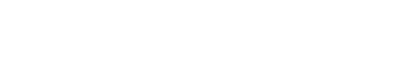 Fahrschule-Fahrsystem